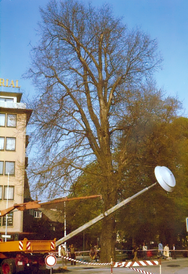 Zum weißen Rössel; Schulespielen
